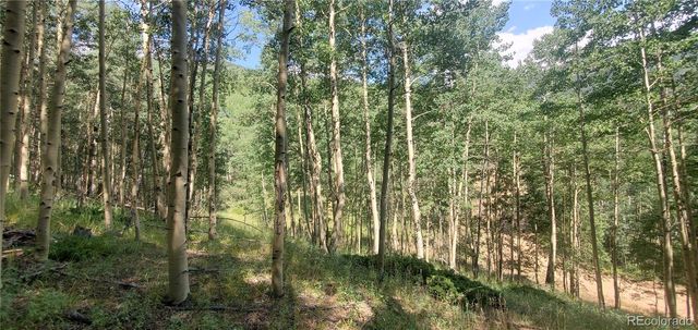 Lot 6882 Donna Road, Fort Garland, CO 81133