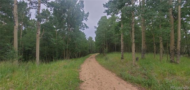 Lot 6882 Donna Road, Fort Garland, CO 81133