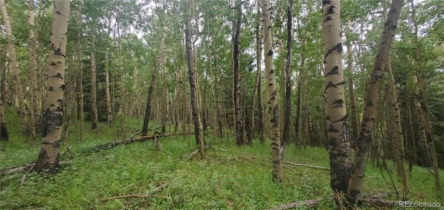 Lot 6882 Donna Road, Fort Garland, CO 81133