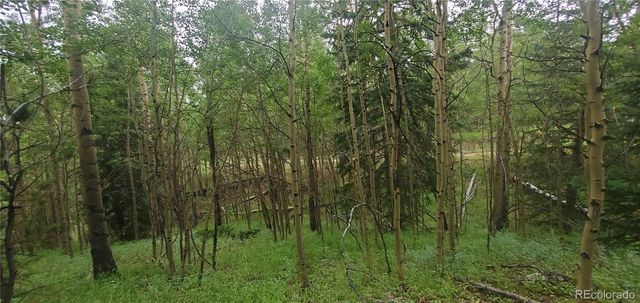 Lot 6882 Donna Road, Fort Garland, CO 81133