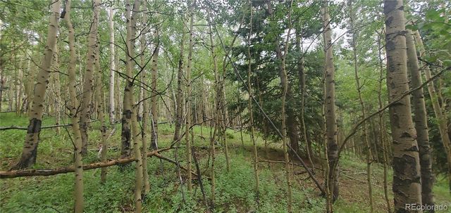 Lot 6882 Donna Road, Fort Garland, CO 81133