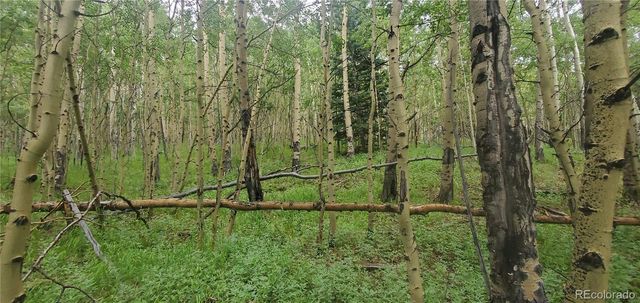 Lot 6882 Donna Road, Fort Garland, CO 81133