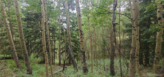 Lot 6882 Donna Road, Fort Garland, CO 81133