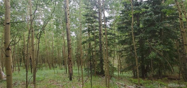 Lot 6882 Donna Road, Fort Garland, CO 81133