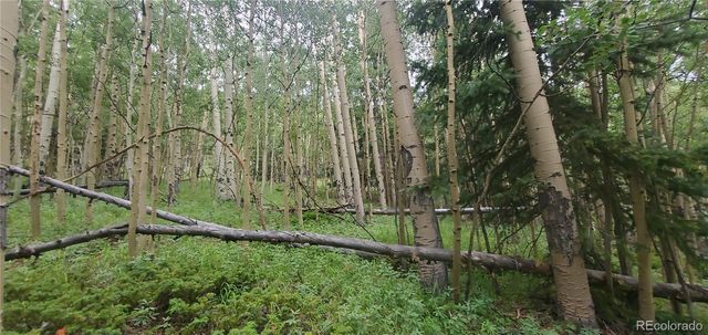 Lot 6882 Donna Road, Fort Garland, CO 81133