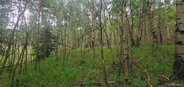 Lot 6882 Donna Road, Fort Garland, CO 81133