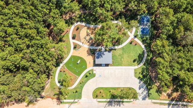 5840 Trout Lily Drive, Montgomery, TX 77316