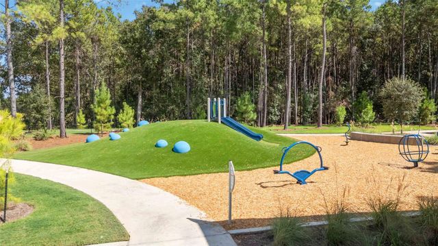 5840 Trout Lily Drive, Montgomery, TX 77316