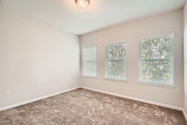 7001 INTERBAY BOULEVARD 101, Tampa, FL 33616