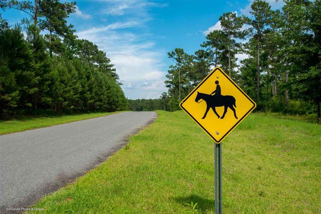 Lot 10 San Bonita Boulevard 1, Havana, FL 32333