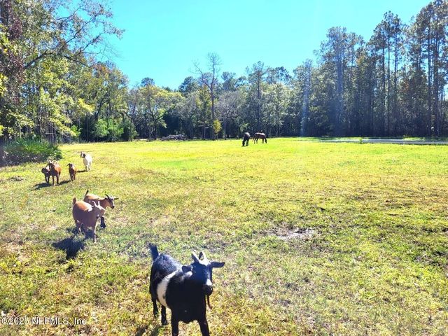 9545 PLUMMER Road, Jacksonville, FL 32219