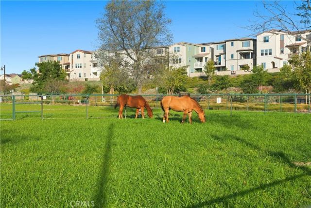 1000 Lasso Way 301, Rancho Mission Viejo, CA 92694