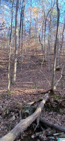 0 BLACKJACK ROAD, Argo, AL 35173