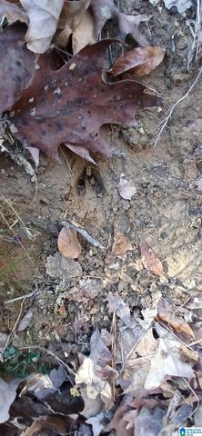 0 BLACKJACK ROAD, Argo, AL 35173