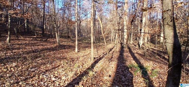 0 BLACKJACK ROAD, Argo, AL 35173