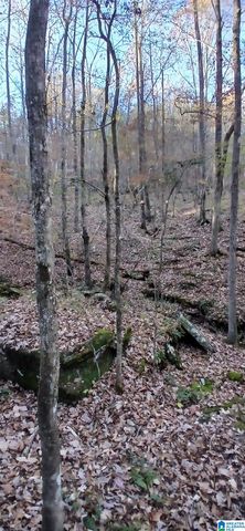 0 BLACKJACK ROAD, Argo, AL 35173