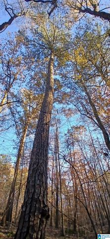 0 BLACKJACK ROAD, Argo, AL 35173