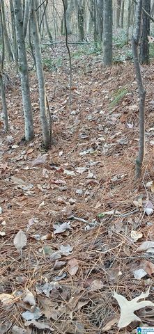 0 BLACKJACK ROAD, Argo, AL 35173