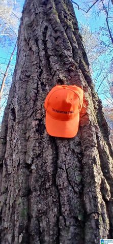 0 BLACKJACK ROAD, Argo, AL 35173