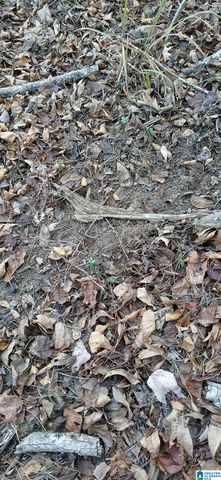 0 BLACKJACK ROAD, Argo, AL 35173