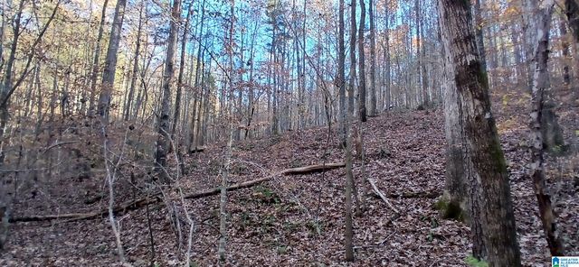 0 BLACKJACK ROAD, Argo, AL 35173