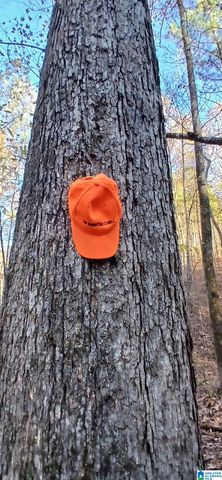 0 BLACKJACK ROAD, Argo, AL 35173