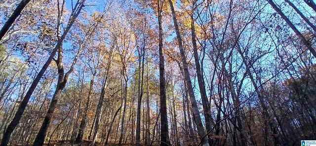 0 BLACKJACK ROAD, Argo, AL 35173