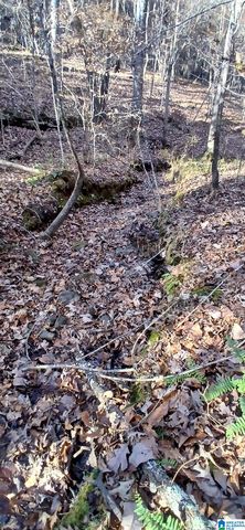 0 BLACKJACK ROAD, Argo, AL 35173