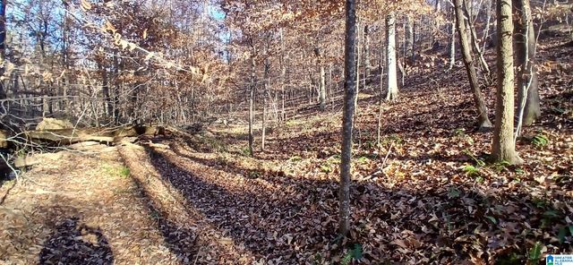 0 BLACKJACK ROAD, Argo, AL 35173