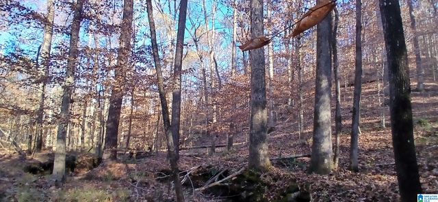 0 BLACKJACK ROAD, Argo, AL 35173