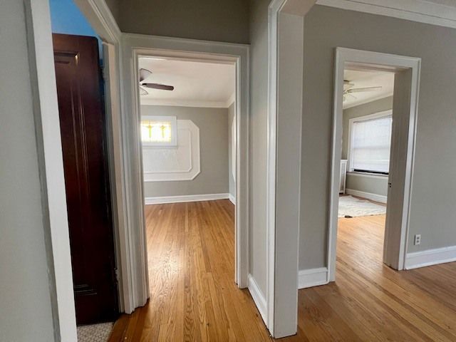 7129 N Oakley Avenue 3, Chicago, IL 60645