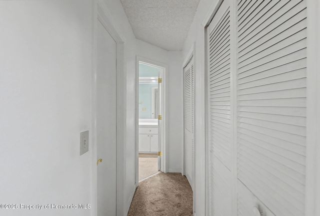 7406 heather walk Drive, Spring Hill, FL 34613