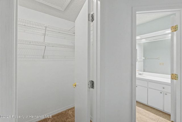 7406 heather walk Drive, Spring Hill, FL 34613