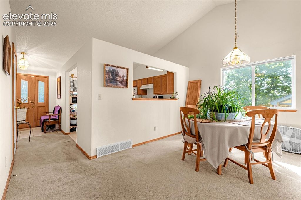 6540 Turkey Tracks Road, Colorado Springs, CO 80922 — photo 3