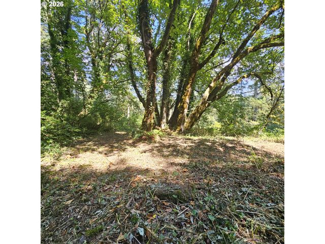 0 Washougal River Rd 104, Washougal, WA 98671