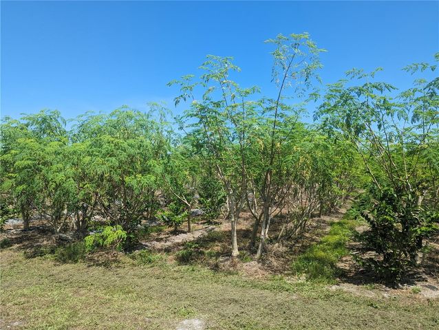 16070 CARLTON LAKE ROAD, Wimauma, FL 33598