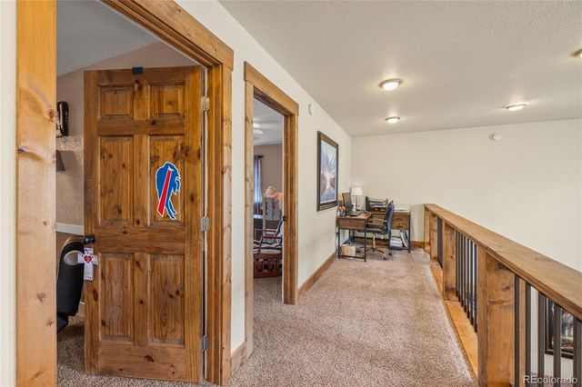 1788 Autumn Drive, Leadville, CO 80461