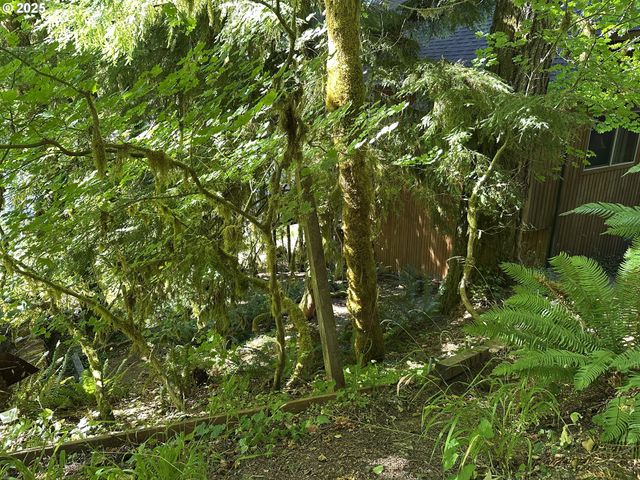 71397 Fishhawk Rd, Clatskanie, OR 97016