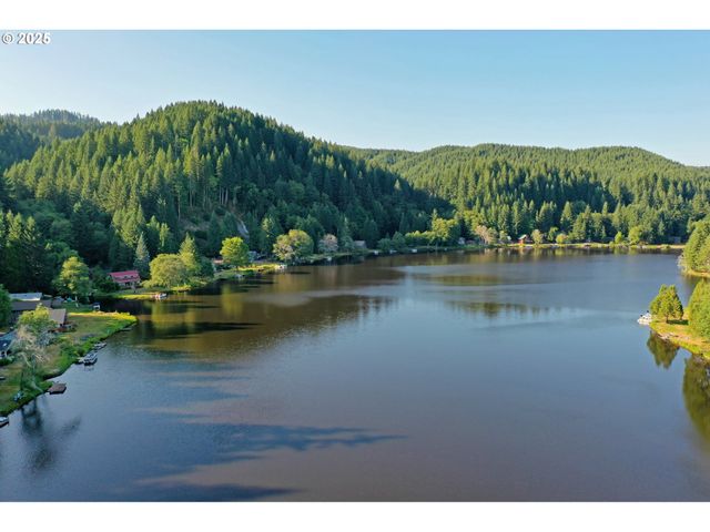 71397 Fishhawk Rd, Clatskanie, OR 97016