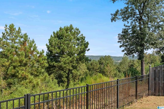 5202 PARK SIDE CIRCLE, Hoover, AL 35244
