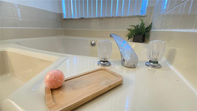 1001 LESTER RIDGE COURT, Kissimmee, FL 34747