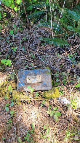 314 Sitkum-SolDuc Road, Forks, WA 98331