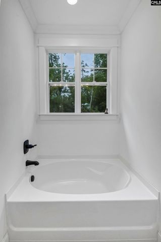 219 Hay Lee Drive, Chapin, SC 29036