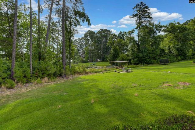 219 Hay Lee Drive, Chapin, SC 29036