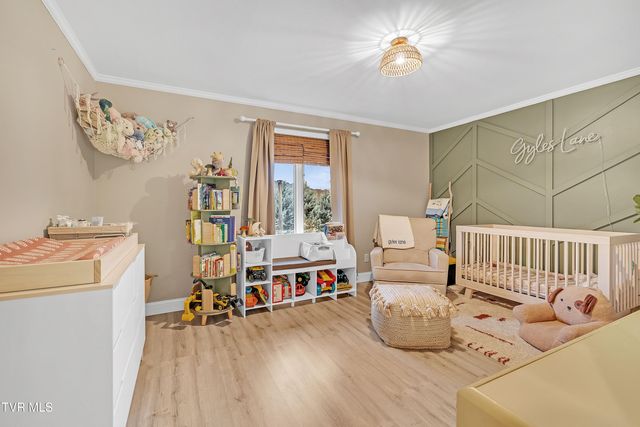 176 Timber Lake Drive, Rogersville, TN 37857