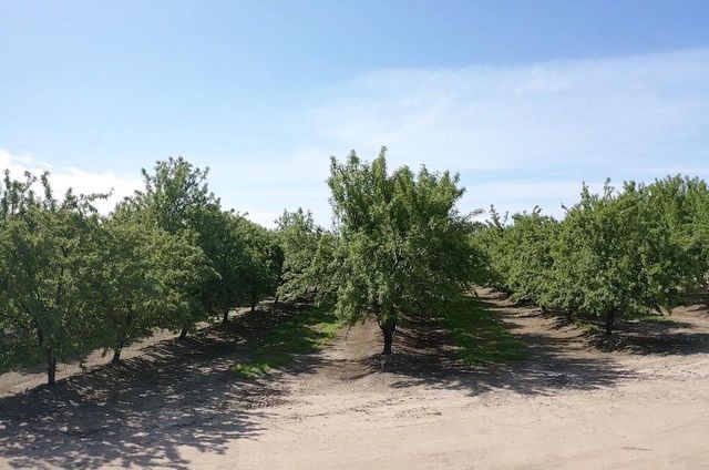 5923 N Biola Avenue, Fresno, CA 93723