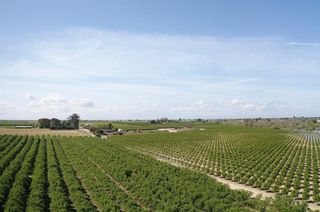 5923 N Biola Avenue, Fresno, CA 93723