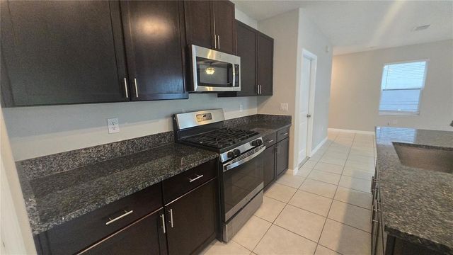 10335 BLUE PLUME COURT, Riverview, FL 33578