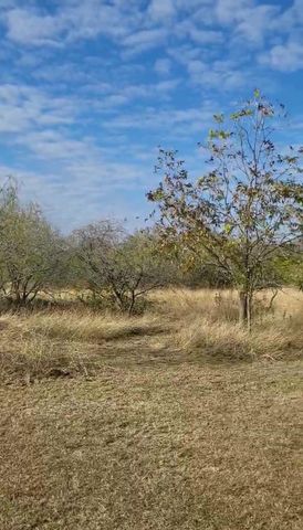 200 Private Road 1402, Morgan, TX 76671