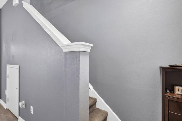 12315 COUNTRY WHITE CIRCLE, Tampa, FL 33635